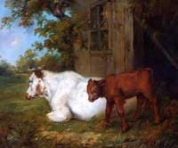 Cow and Calf
