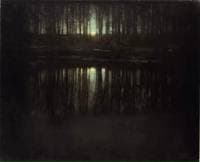The Pond, Moonlight