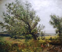 The Old Poplar