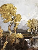 Trees and Waterfall