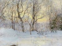 Snow covered landscape