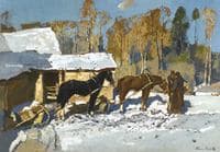 Winter Sun