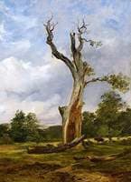 The Blasted Tree