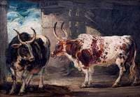 Two Extraordinary Oxen, the Property of the Earl of Powis