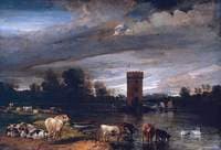 View in Tabley Park