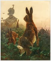 Rabbits in a Cabbage Field
