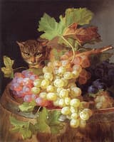 Cat being a Barrel with Grapes