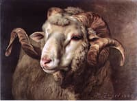 Ram's Head