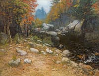 The Call of the Wild