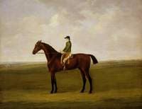Anvil with Charles Handley up, and Running for the Whip on Newmarket Heath in the Background