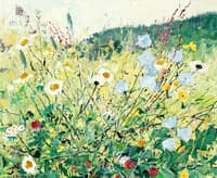 Meadow Flowers
