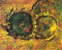Two Sunflowers