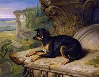 'Fanny', a Favourite Dog