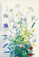 Meadow Flowers