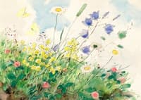 Meadow Flowers