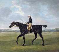 Sir Peter Teazle