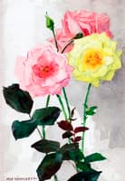 Roses
