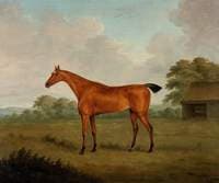 Chestnut Horse in a Landscape