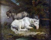 Horse and Donkey