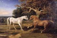 L'Amour de Cheval