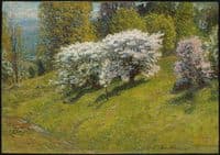 Spring Hillside