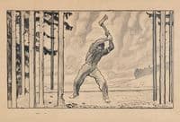 The Woodcutter