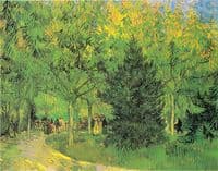 Avenue in the Park