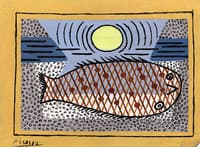 Fish Stranded in the Sun