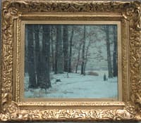 Wintry Glades