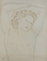 Female Portrait