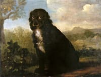 Vulcan, a Black Spaniel, in a Landscape