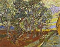 The Garden of the Asylum
