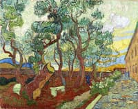 The Garden of the Asylum in Saint-Remy