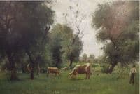 Cattle Grazing in a Spring Field