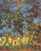 The Grounds of the Asylum