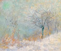 Neige au matin