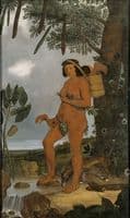 Tapuia Woman