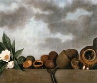 Brazil Nuts