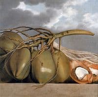 Coconuts