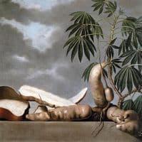 Manioc