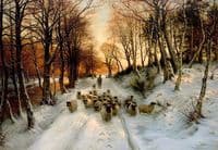 Through the Calm and Frosty Air