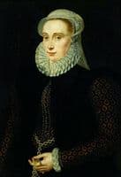 Portrait of a young woman