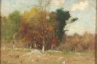Autumn Colors