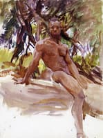 Man and Trees, Florida