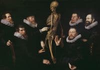 Anatomical Lesson of Dr. Sebastiaen Egbertsz. de Vrij