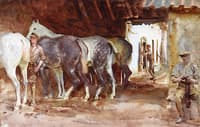 Scots Greys
