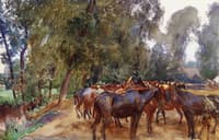 Horse Lines