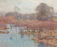 Spring in Wetlands
