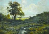 Woodland River at Dusk
