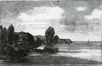 A Wooded Coast